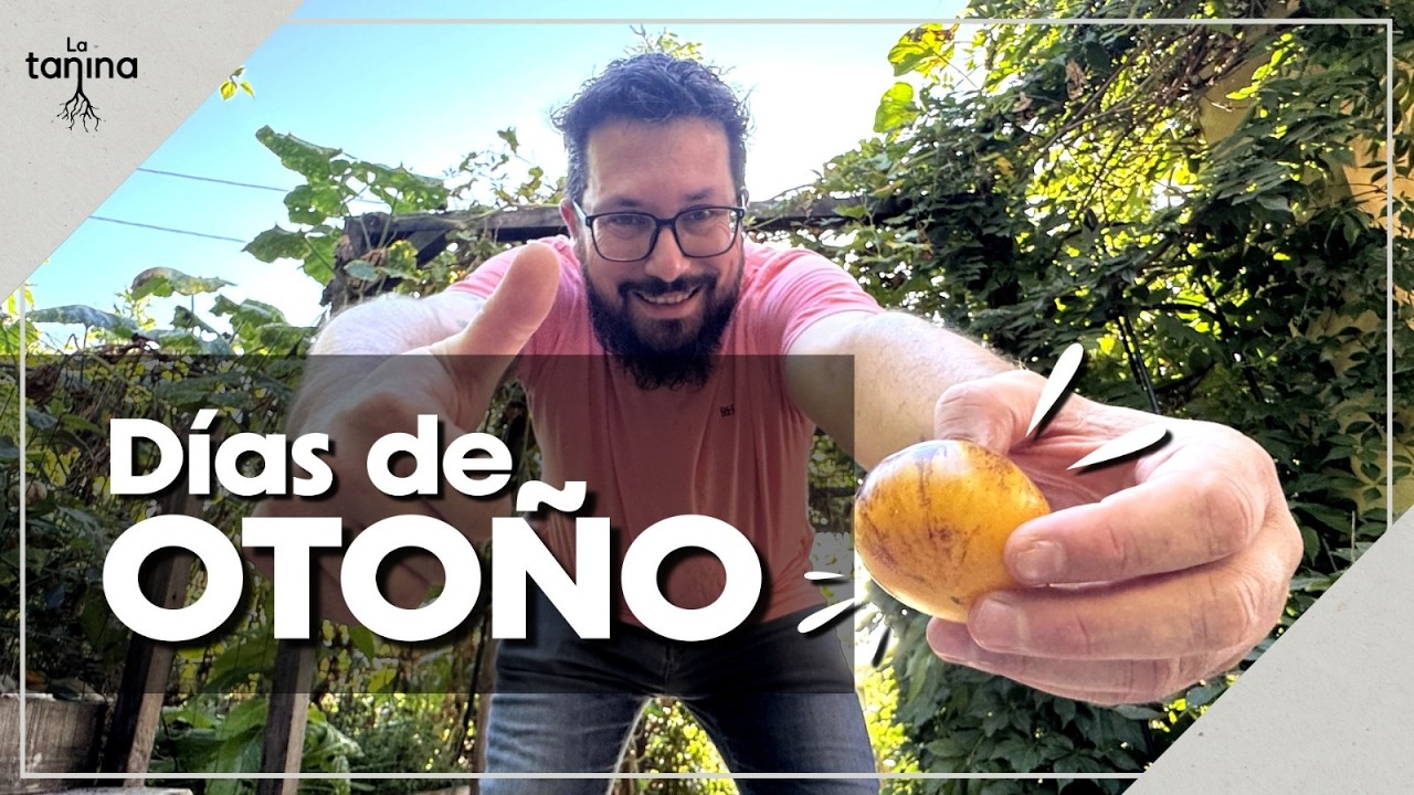 Un día de trabajo en el HUERTO en OTOÑO 🍂 + JARABE de ABETO 🎄