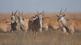 Rietvlei Nature Reserve