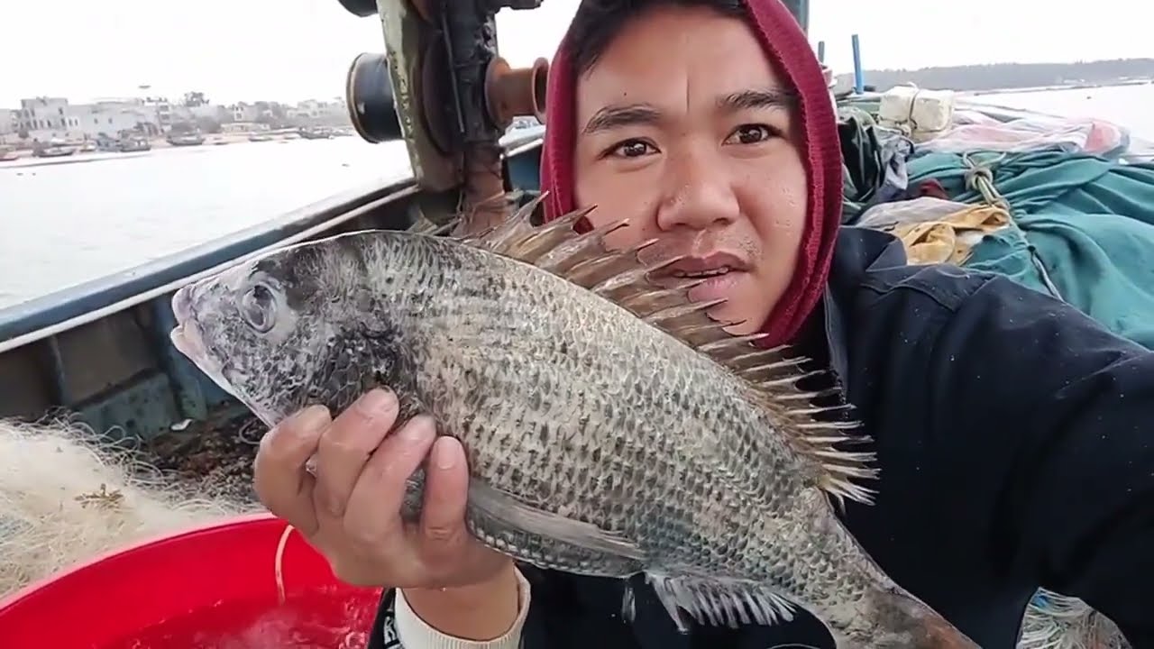 渔民父子放130张低网，十几个小时收获，各种品种的鱼都有，这就是我爷俩捉鱼生活【渔民小梁】
