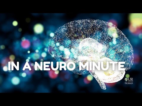 S2 E2: How does the brain see the world in individuals with Autism Spectrum Disorder?
