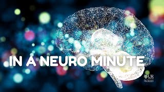 S2 E2: How does the brain see the world in individuals with Autism Spectrum Disorder