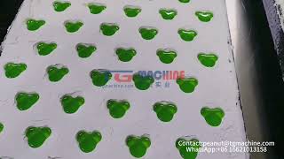 Semi-automatic starch mogul gummy making machine Semi-automatic starch mogul gummy making machine