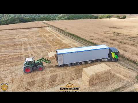 2,30m Lange Strohballen in LKW Verladen Lohnauftrag Strohbergung Stroh Logistik Pressen & Transport