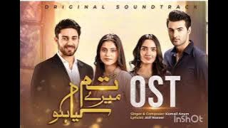 Mohabbat Junoon Hai - 𝐓𝐮𝐦 𝐌𝐞𝐫𝐞 𝐊𝐲𝐚 𝐇𝐨 - Full OST 🎧 - Singer [ Komail Anam ] - HUM TV/Basit block