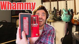 I Forgot How Great The Digitech Whammy pedal Is