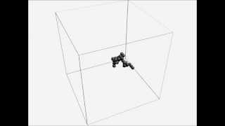 Self Avoiding Walk, SAW Wealth