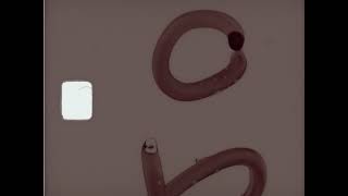 Home Movie: 071224 (silent)