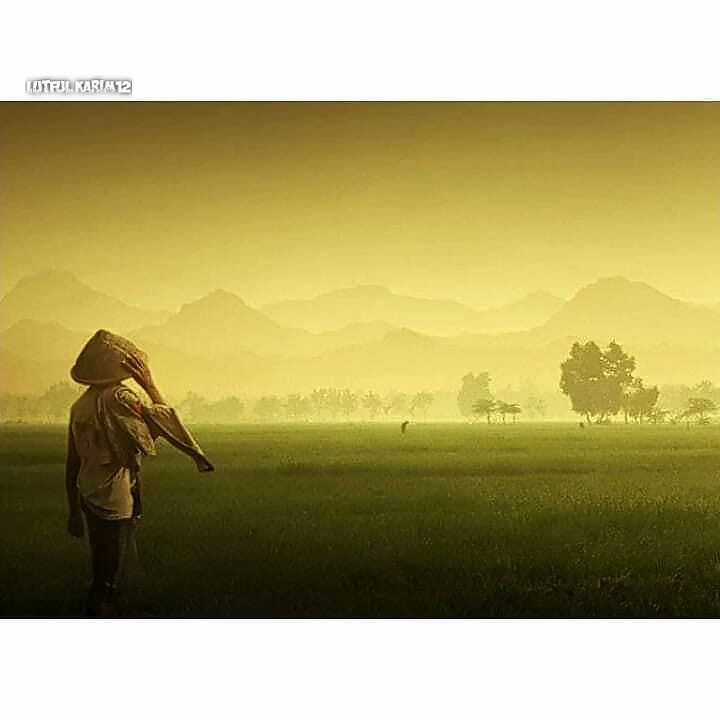 Story wa 30 detik || Iksan skuter - bingung || lirik video || story wa terbaru 2020