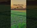 Village life | Village Morning | farming | Agricultural | Agro | Zameen | Farmhouse