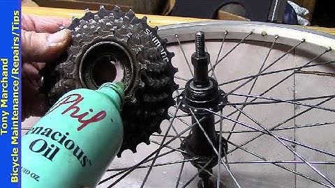 Freewheel Removal Cleaning Lubrication Overhaul