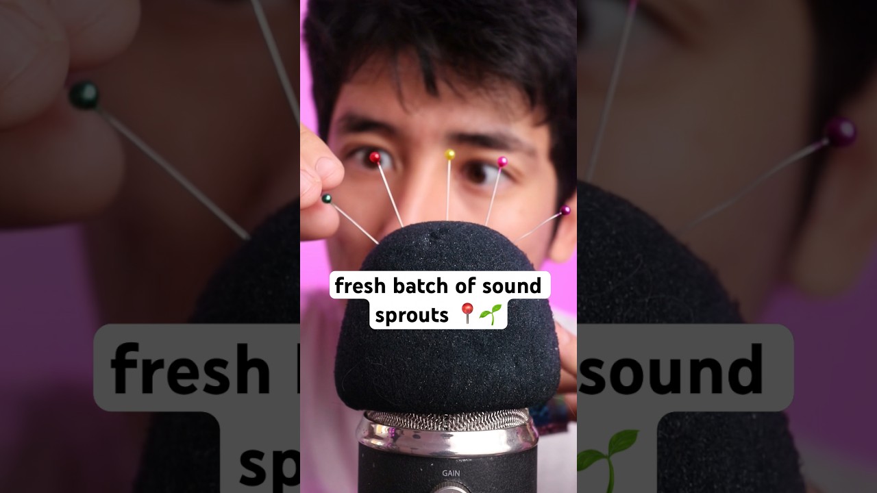 fresh batch of sound sprouts 🌱📍 #asmr