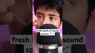 Fresh Batch Of Sound Sprouts 