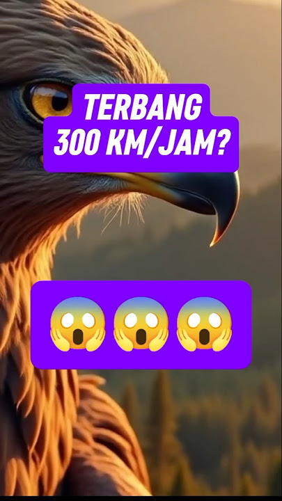 FAKTA BURUNG ELANG !!!
