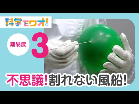 自由研究 不思議 割れない風船 Youtube