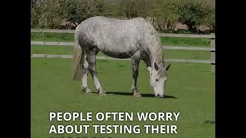How to test your horse for worms