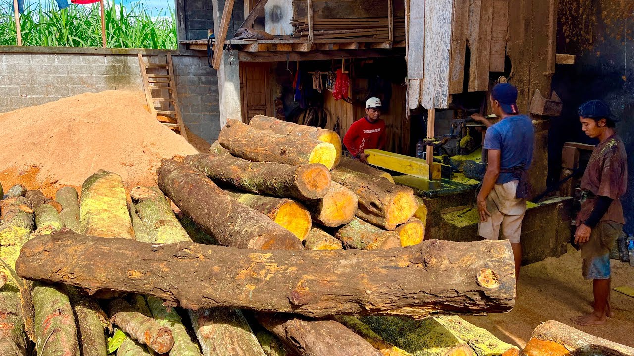 Oh my God!! The Boss Was So Lucky to Receive an Order for Export-Quality Jackfruit Wood Blocks