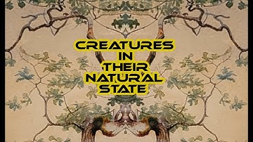 Creatures in their natural state - IFM, 296t, Psychedelic Voltage Processor, Let