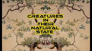 Famous Creatures in their natural state - IFM, 296t, Psychedelic Voltage Processor, Let's Splosh, Compare2 Wealth