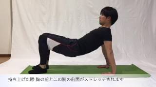 リバースプランク（猫背を改善するエクササイズ）