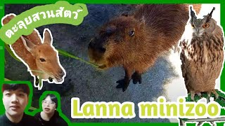 [28/09/2024] | ตะลุยสวนสัตว์ Lanna mini zoo