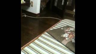 IMG 09751