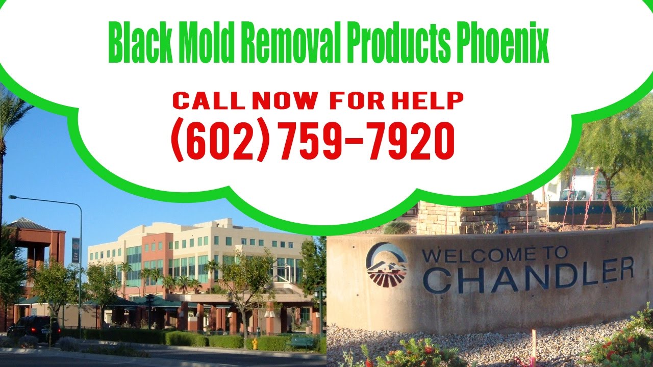 Black Mold Removal Products Phoenix (602) 759-7920