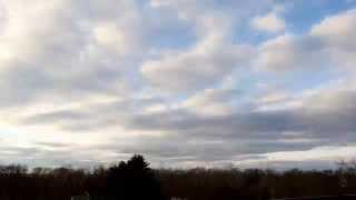 Tree Cutting Timelapse