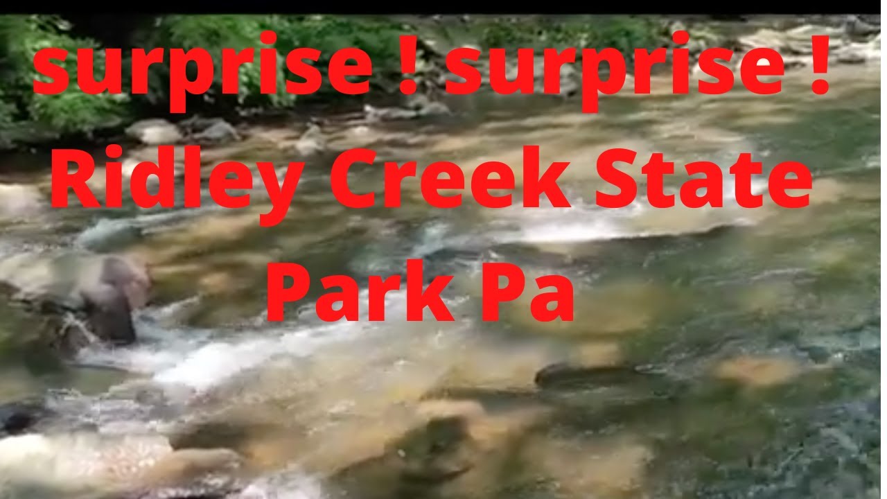 A walk in the park /Hunting Hill Mansion at Ridley Creek State Park PA...