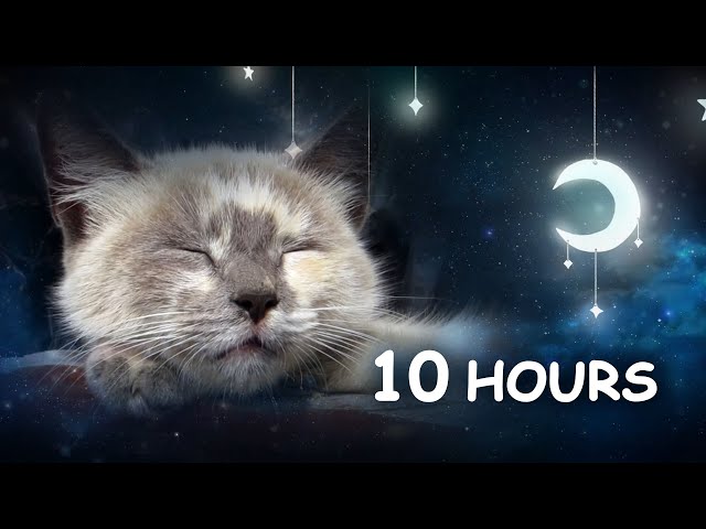 10 HOURS - Relaxing Lullaby for Cat and Kitten (with Cat purring sounds) CAT MUSIC class=