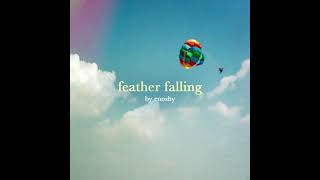 Feather Falling Presave Album Link In Bio