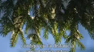 Luis Miguel - Contigo en la distancia (Instrumental Karaoke)