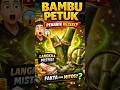 Fakta Unik Bambu Petuk! Bambu Ajaib yang Diburu Banyak Orang