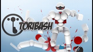 Making a Mod On Toribash