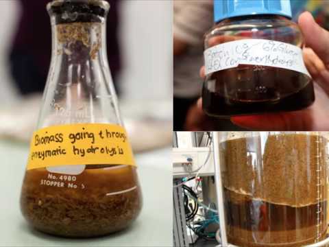 Bioprocess Academy - Academics - Lesson 4 of 4: Improving Batch and Continuous Fermentation Tests