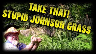 How To Get Rid Of Johnson Grass... No Short Cuts