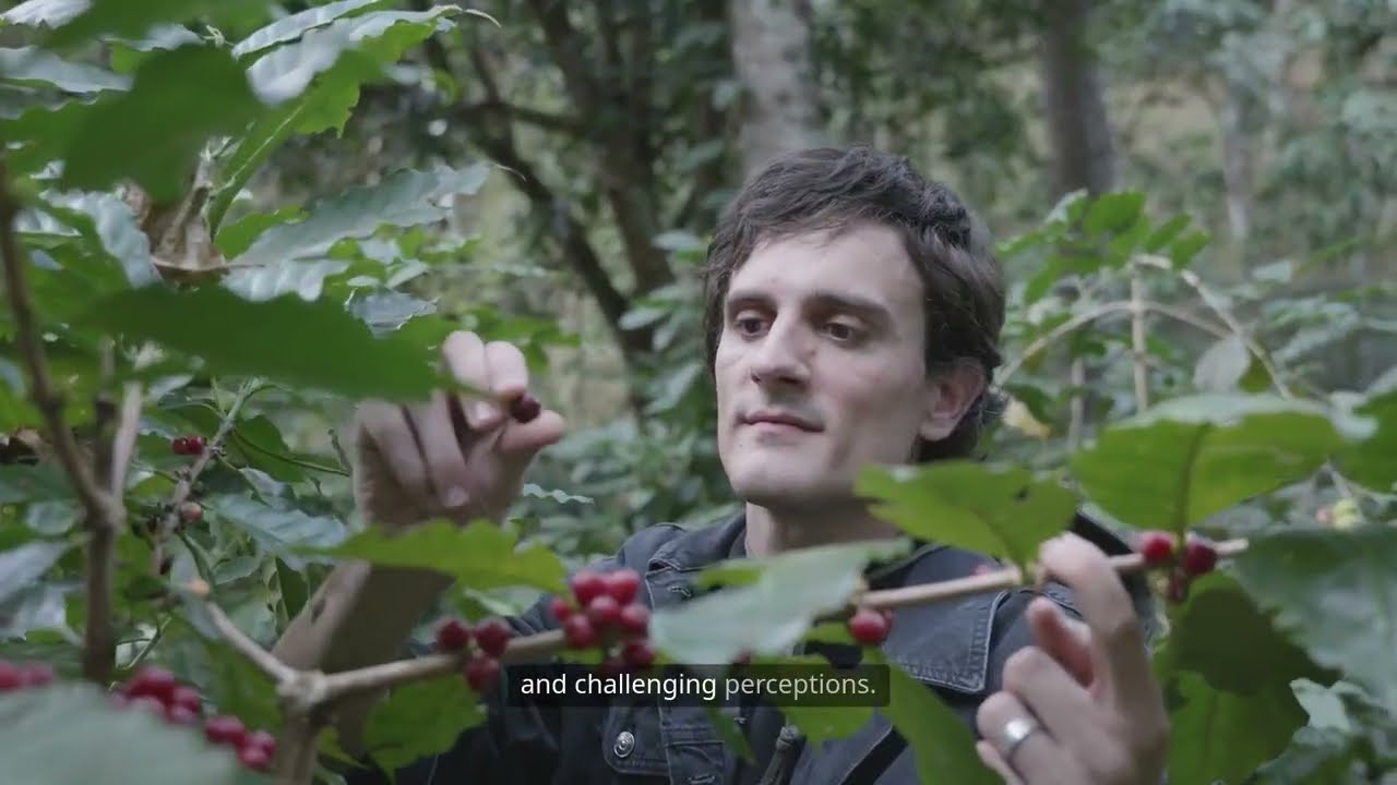 Journey Through Vietnam's Coffee Bean Origin Story