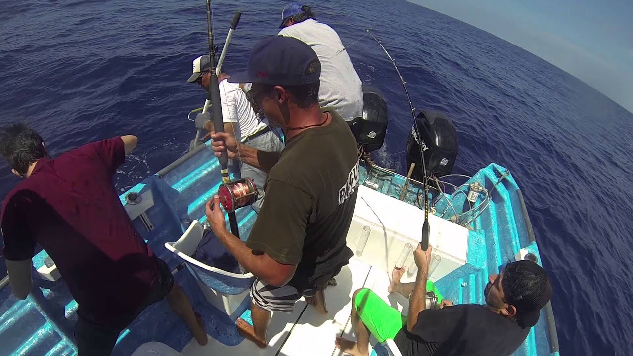 Marlin Fishing in Mazatlán YouTube