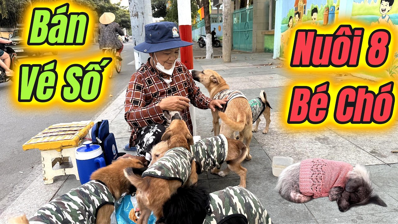 Chuyện ít Gặp - 8 Bé Chó Lang Thang Bán Vé Số Cùng Bà Cụ Gần 70 Tuổi Ở Đồng Nai