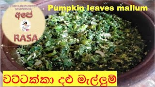 Pumpkin leaves mallum- වට්ටක්කා දළු මැල්ලුම-wattakka dalu mellum-vattakka dalu malluma