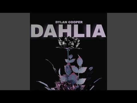 Dahlia 
