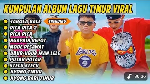 kumpulan Lagu Timur 2025 Tabola Bale Viral Tiktok | Ngapain Repot | stecu stecu