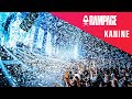 Kanine rampage 2022  dnb drops only