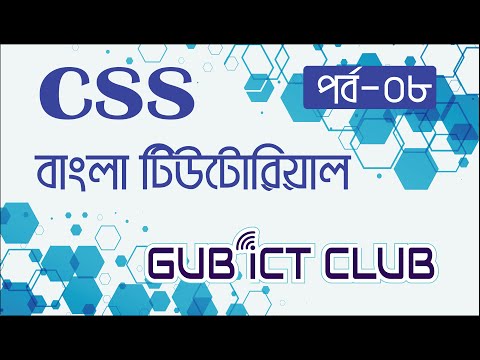 08. CSS Tutorial Bangla for Beginners | Margin and Padding