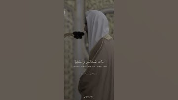 الشيخ احمد بن طالب / سورة النمل