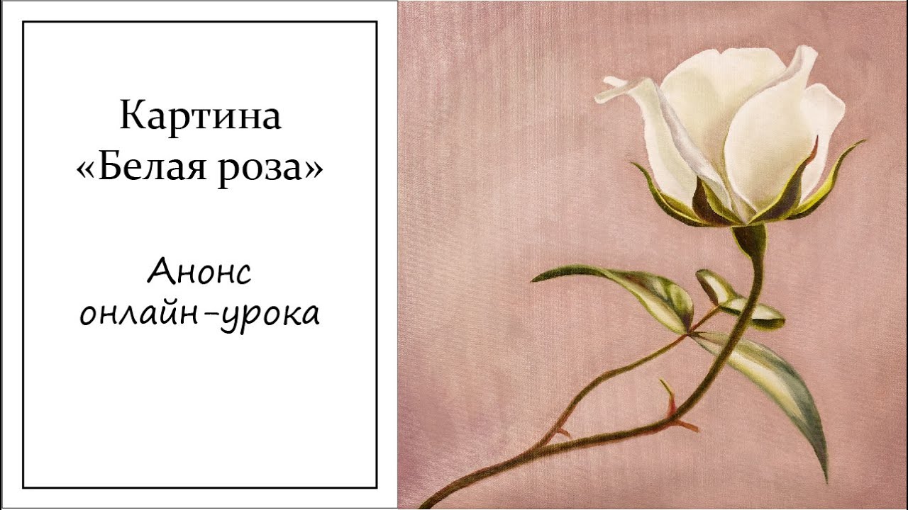 Анонс онлайн урока. Пишем картину \"Белая роза\" маслом. - YouTube