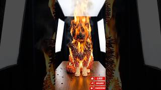 Matchstick Burning – Ultra Realistic AI Animation (4K) #AIvideo #Cinematic #FireEffect #Satisfying
