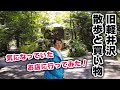 【秋の旧軽散歩とショッピング】散歩中に見つけた可愛いお店に入ってみたら、すごい物が売っていました!