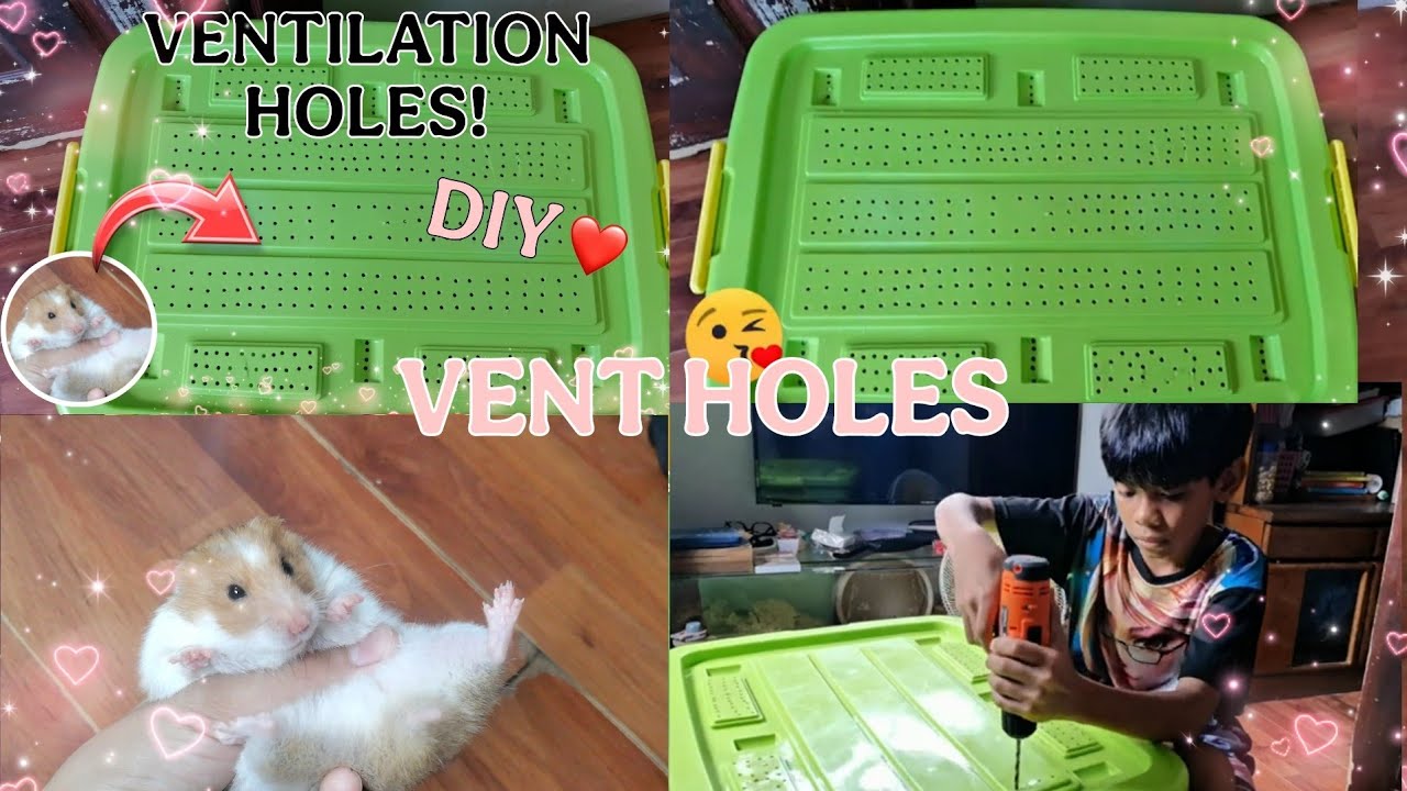 A closer look at Hamster Cage Ventilation Tutorials