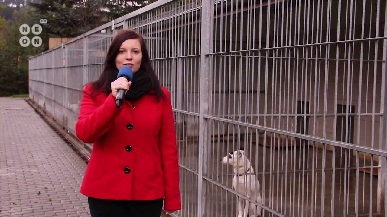 Útulek pro zvířata v nouzi Zlín - Vršava