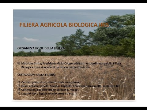 Cooperativa Agricola IRIS